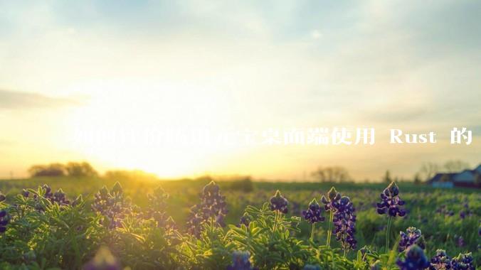 如何评价腾讯元宝桌面端使用 Rust 的 Tauri 框架？