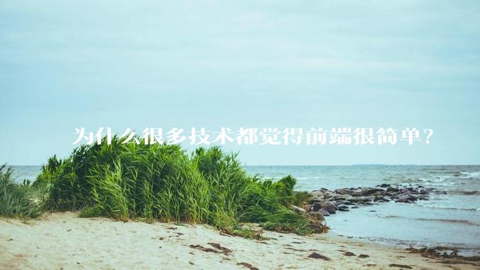 为什么很多技术都觉得前端很简单？