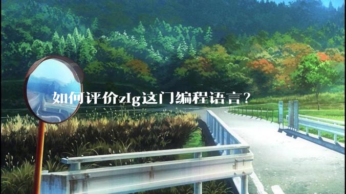 如何评价zig这门编程语言？